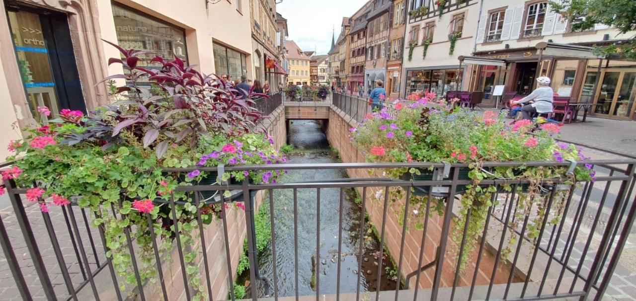 Le Green St Leon : Lit Queen Size * Wifi * Ideal Couple Colmar Exterior foto